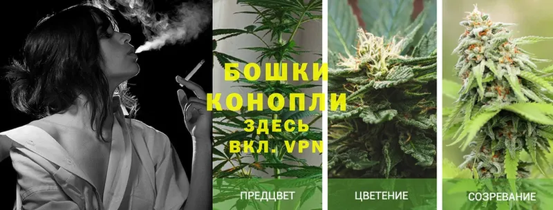 Конопля White Widow  где можно купить   Киренск 